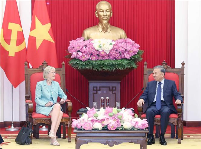 Tổng Bí thư Tô Lâm tiếp Đại sứ Australia tại Việt Nam- Ảnh 2. Tổng Bí thư Tô Lâm tiếp Đại sứ Australia tại Việt Nam- Ảnh 2.
