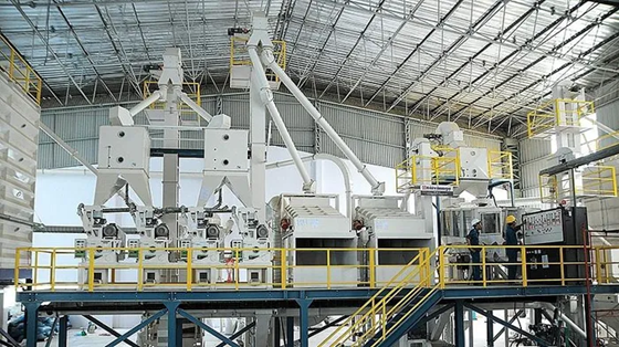 Giảm thất thoát sau thu hoạch ở Đồng bằng sông Cửu Long: Cần cú hích từ khoa học công nghệ - Ảnh 1.