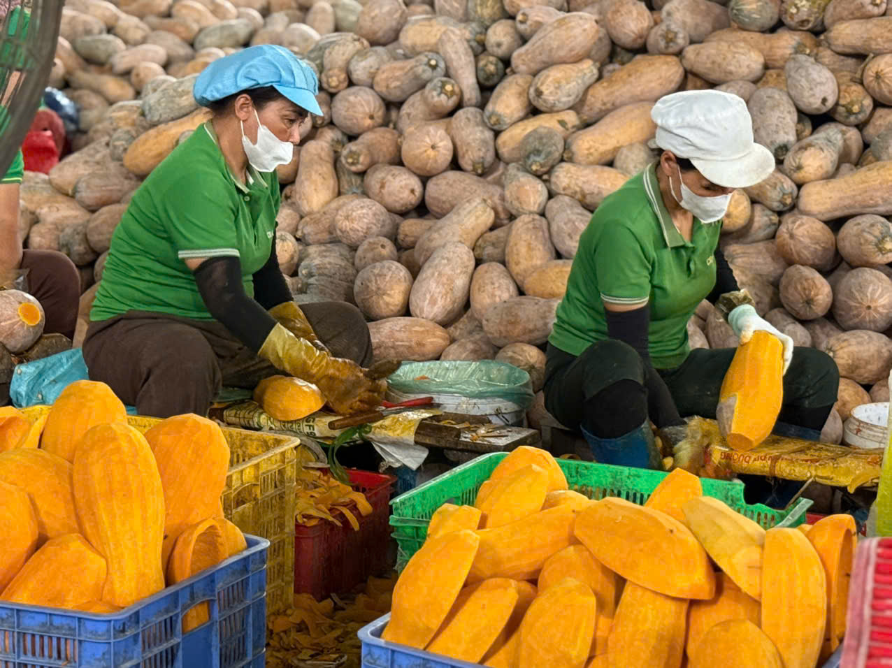 Xuất khẩu nhiều sản phẩm nông sản chủ lực tăng giá trị- Ảnh 2. Xuất khẩu nhiều sản phẩm nông sản chủ lực tăng giá trị- Ảnh 2.