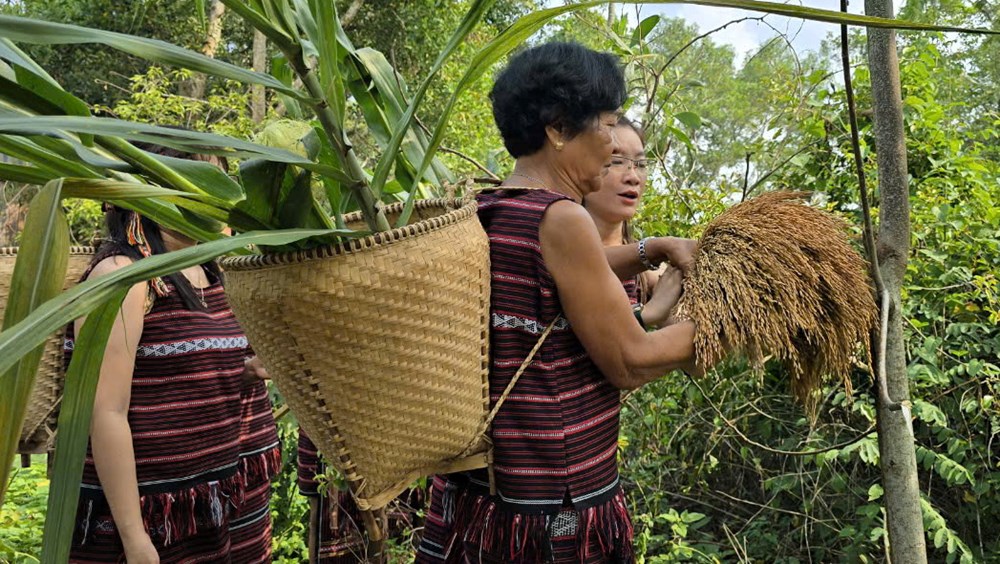 Công bố thêm 11 di sản văn hóa phi vật thể Quốc gia- Ảnh 1. Công bố thêm 11 di sản văn hóa phi vật thể Quốc gia- Ảnh 1.