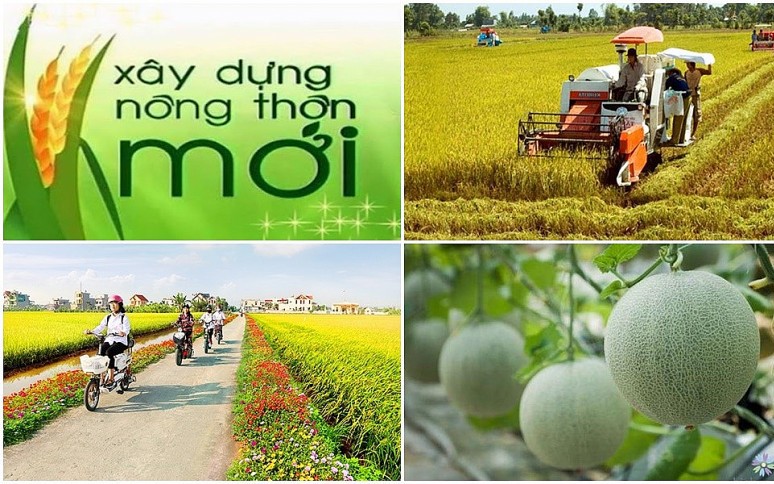 Thực hiện "4 đẩy mạnh", "3 tiên phong" để đạt mục tiêu nông nghiệp sinh thái, nông thôn hiện đại, nông dân văn minh và giảm nghèo bền vững