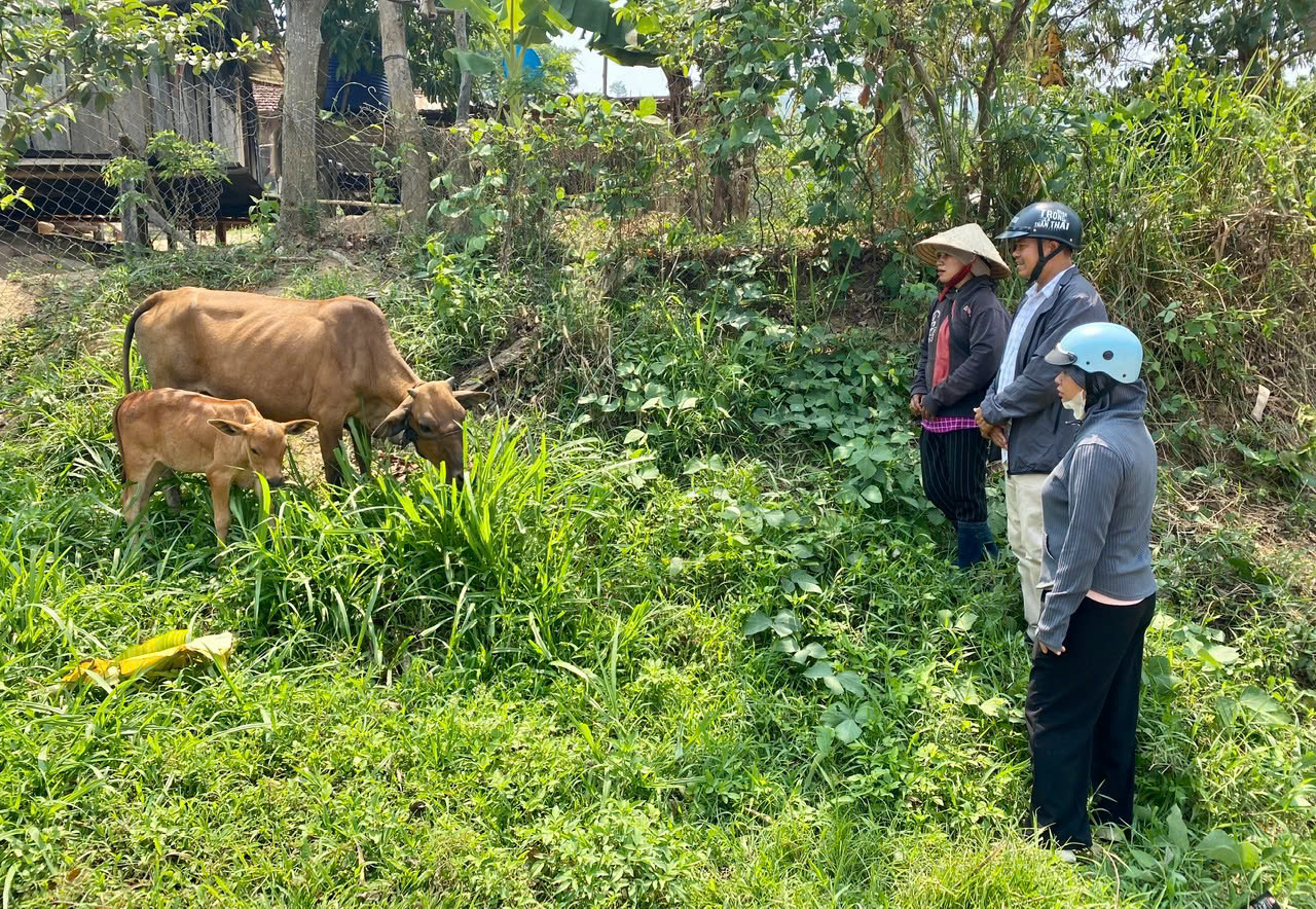 Xóa 'lõi nghèo' vùng đồng bào DTTS và miền núi -
Bài 1: Thu hẹp khoảng cách phát triển- Ảnh 5. Xóa 'lõi nghèo' vùng đồng bào DTTS và miền núi -
Bài 1: Thu hẹp khoảng cách phát triển- Ảnh 5.