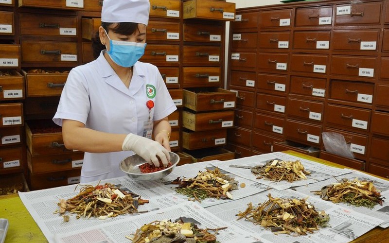 Vị thuốc cổ truyền phải công bố tiêu chuẩn chất lượng trước khi lưu hành