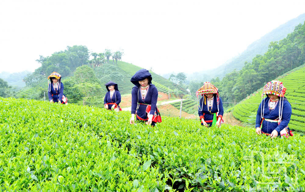 Kinh tế – xã hội vùng DTTS: Tăng tốc với lộ trình rõ ràng- Ảnh 2. Kinh tế – xã hội vùng DTTS: Tăng tốc với lộ trình rõ ràng- Ảnh 2.