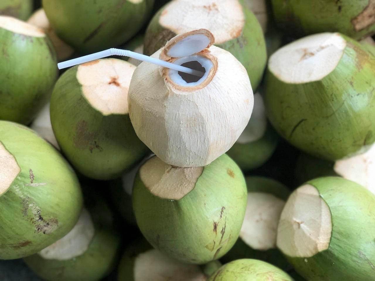 Dừa tươi Việt Nam: Từ đặc sản địa phương đến ngành hàng tỷ USD- Ảnh 1. Dừa tươi Việt Nam: Từ đặc sản địa phương đến ngành hàng tỷ USD- Ảnh 1.