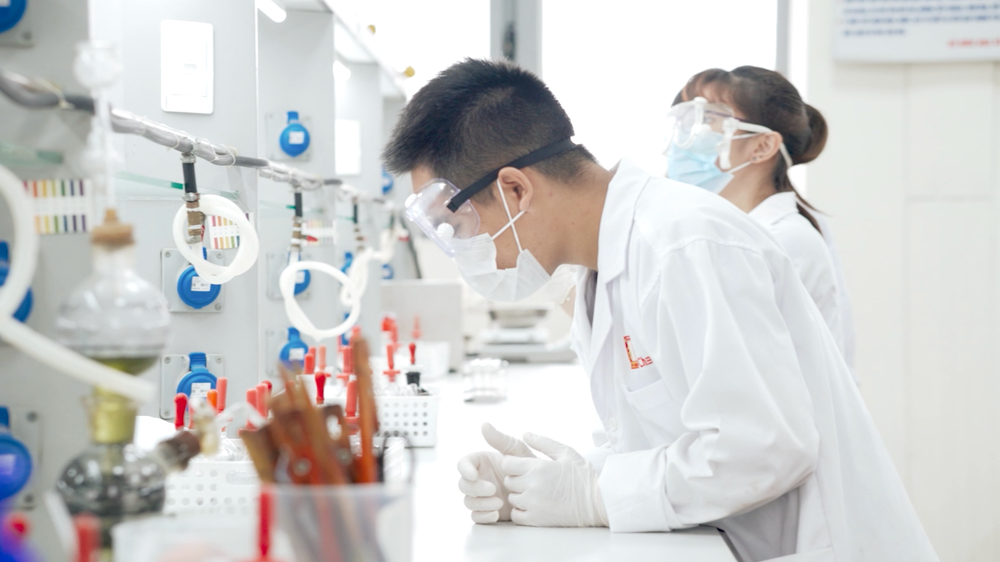 Chính sách học bổng cho người học các ngành khoa học cơ bản, công nghệ chiến lược- Ảnh 1.