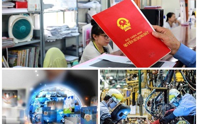 Chỉ đạo, điều hành của Chính phủ, Thủ tướng Chính phủ nổi bật tuần từ 12-18/7/2025