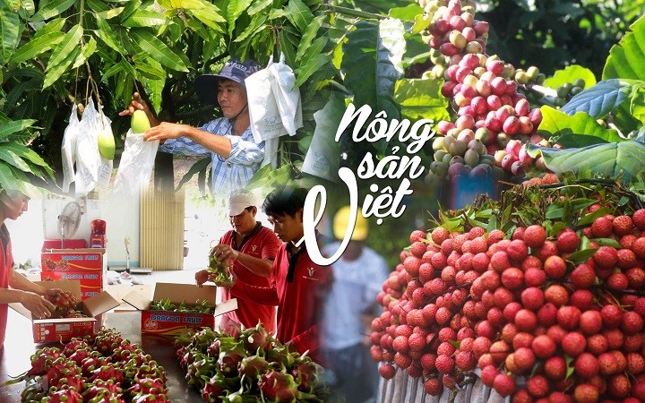 Vận Chuyển Nông Sản Việt Đi Quốc Tế: Những Điều Cần Biết