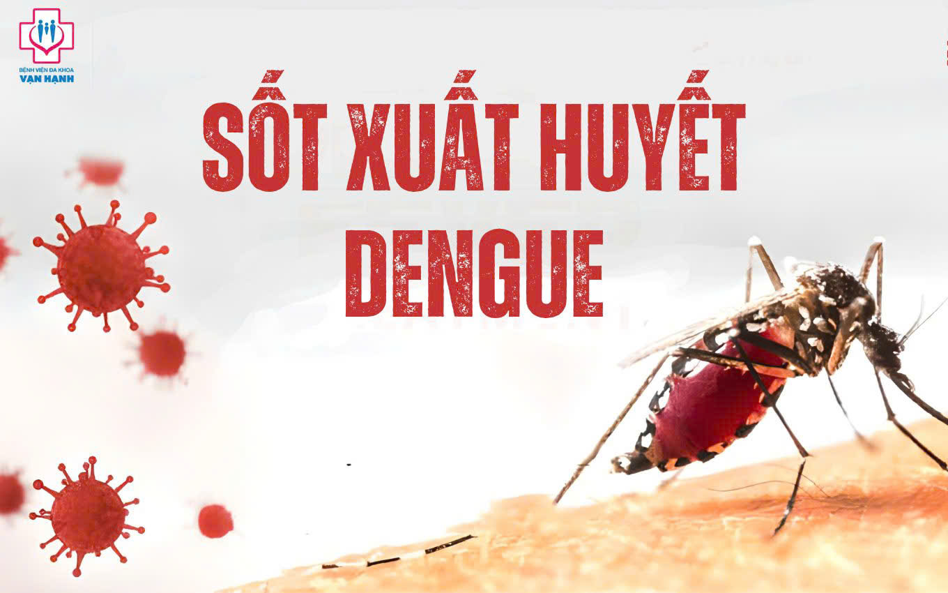 Sốt xuất huyết diễn biến phức tạp, chủng virus DEN-2 chiếm ưu thế- Ảnh 1. Sốt xuất huyết diễn biến phức tạp, chủng virus DEN-2 chiếm ưu thế- Ảnh 1.