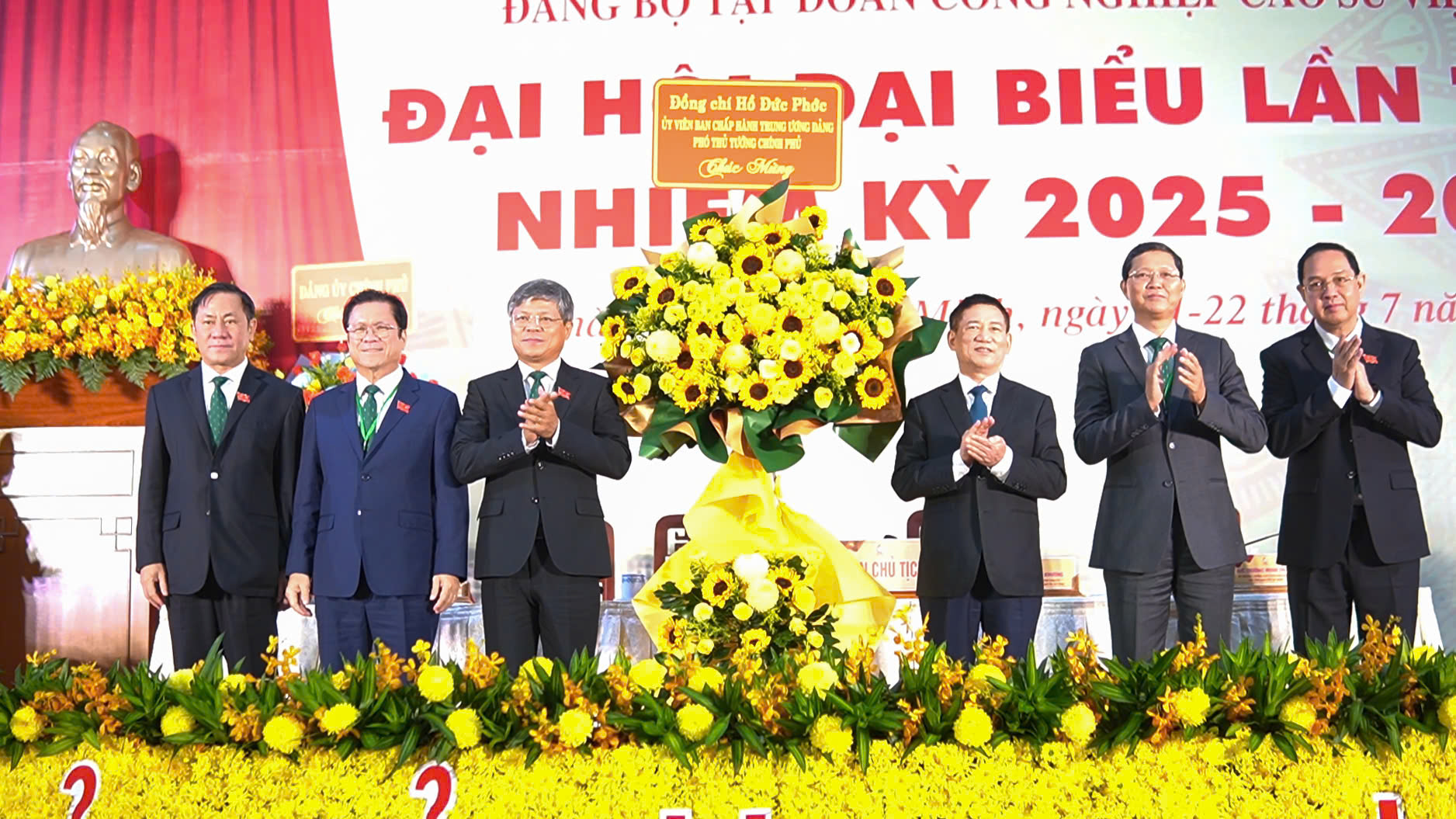 Phó Thủ tướng Hồ Đức Phớc dự Đại hội Đảng bộ Tập đoàn Công nghiệp Cao su Việt Nam- Ảnh 3. Phó Thủ tướng Hồ Đức Phớc dự Đại hội Đảng bộ Tập đoàn Công nghiệp Cao su Việt Nam- Ảnh 3.