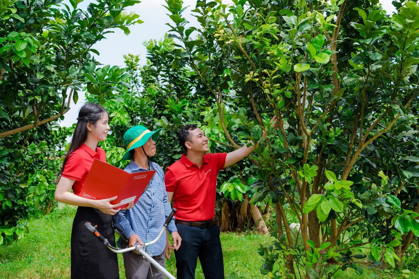 Agribank ưu đãi lớn, hỗ trợ chuyển đổi hộ kinh doanh thành doanh nghiệp- Ảnh 1. Agribank ưu đãi lớn, hỗ trợ chuyển đổi hộ kinh doanh thành doanh nghiệp- Ảnh 1.