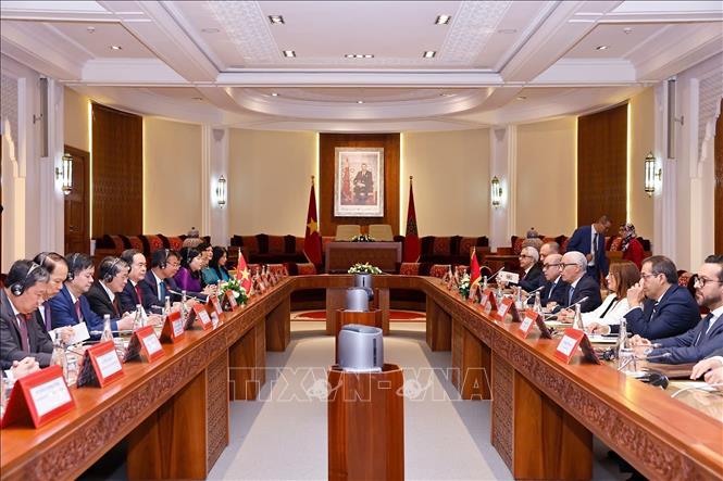 Chủ tịch Quốc hội Trần Thanh Mẫn hội đàm với Chủ tịch Hạ viện Morocco- Ảnh 3.