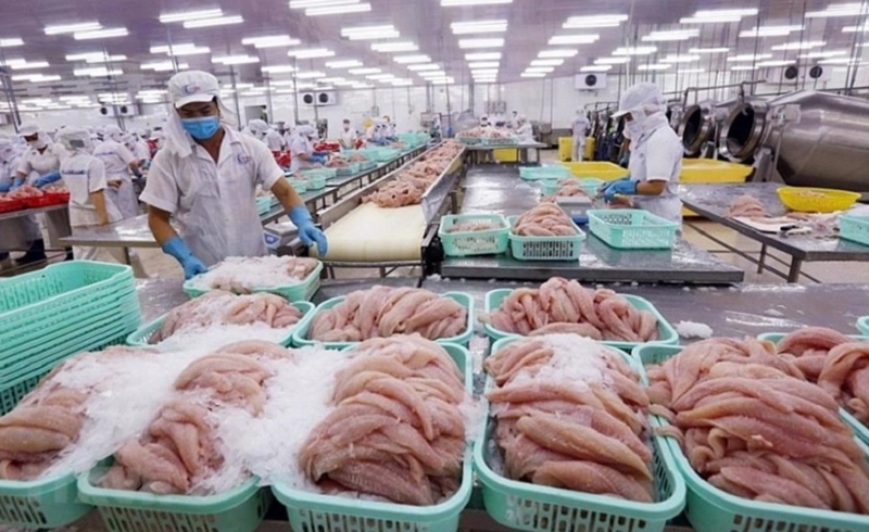 Buat pertama kalinya, Vietnam adalah antara 3 rakan kongsi eksport makanan laut Teratas ke Singapura - Foto 1. Việt Nam lần đầu tiên đứng trong Top 3 đối tác xuất khẩu thủy sản vào Singapore- Ảnh 1.