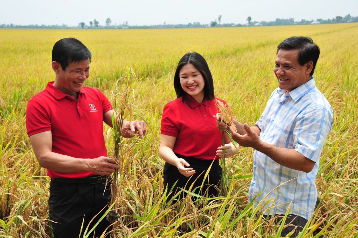 Agribank tăng tốc chuyển đổi số, nâng tầm quản trị, phát huy vai trò chủ lực 'Tam nông'- Ảnh 6. Agribank tăng tốc chuyển đổi số, nâng tầm quản trị, phát huy vai trò chủ lực 'Tam nông'- Ảnh 6.