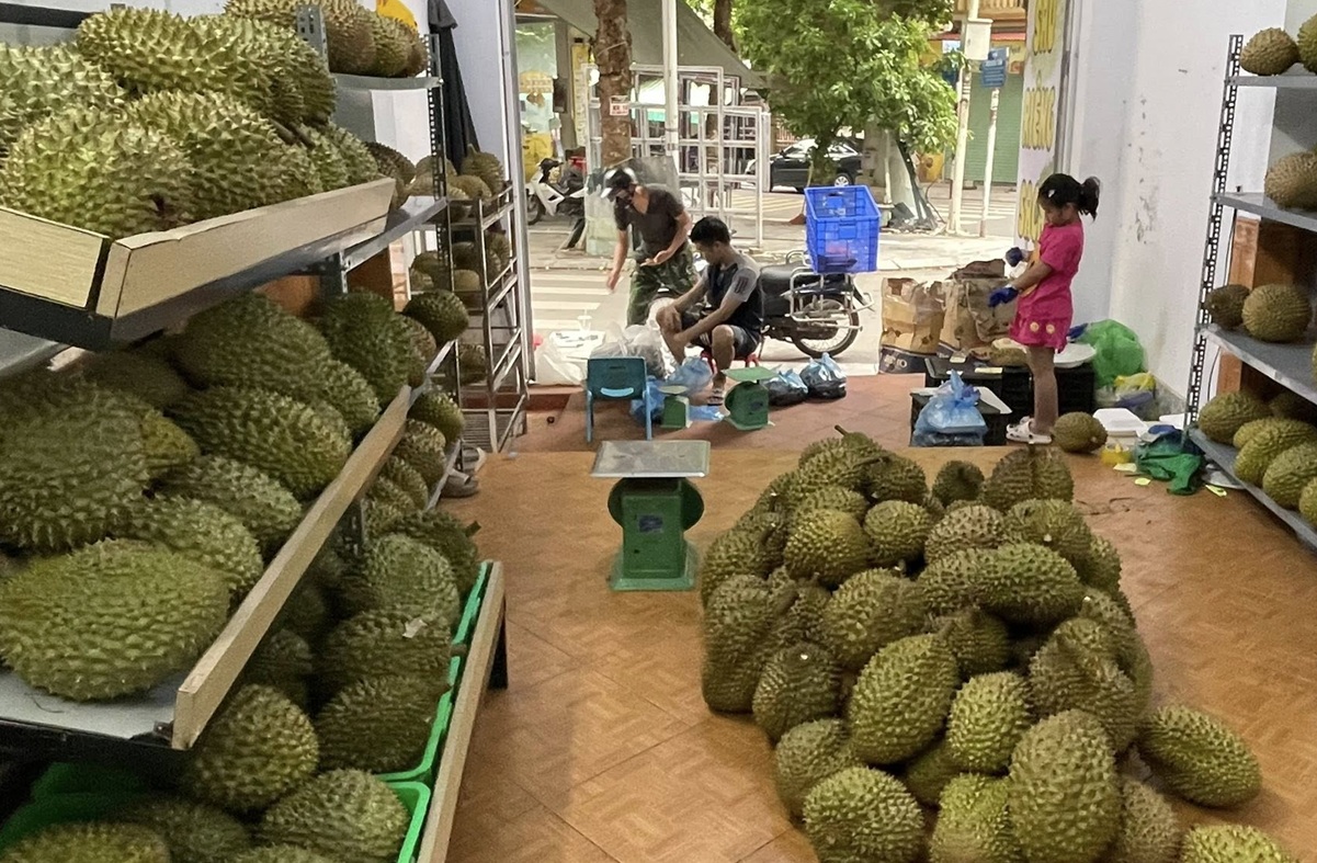 Xuất khẩu sầu riêng đông lạnh tăng 3 lần- Ảnh 1.