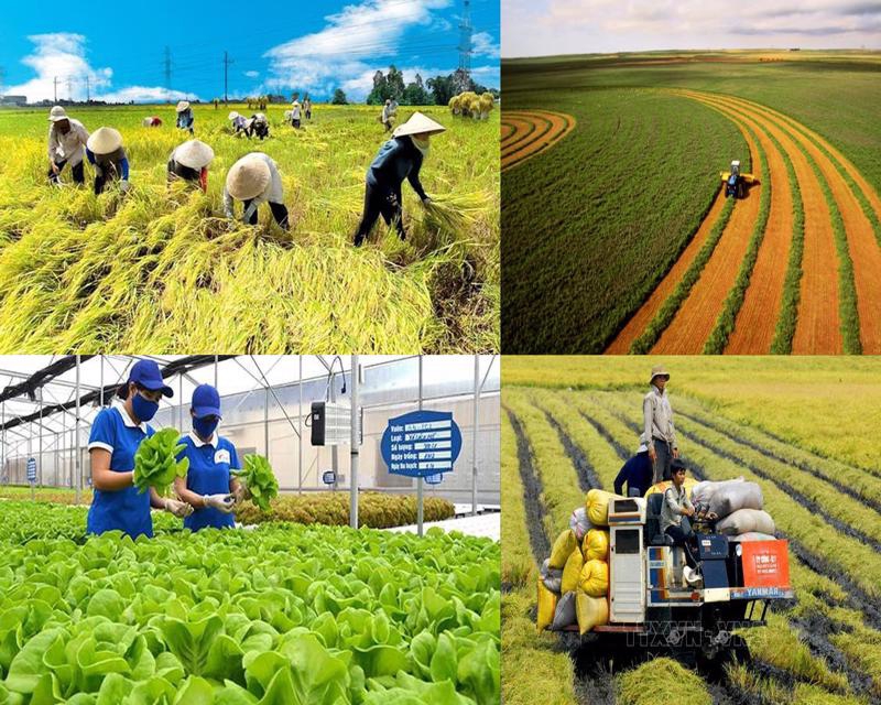 Ra mắt sổ tay hướng dẫn nhiệm vụ của chính quyền cấp xã lĩnh vực nông nghiệp và môi trường- Ảnh 1. Ra mắt sổ tay hướng dẫn nhiệm vụ của chính quyền cấp xã lĩnh vực nông nghiệp và môi trường- Ảnh 1.