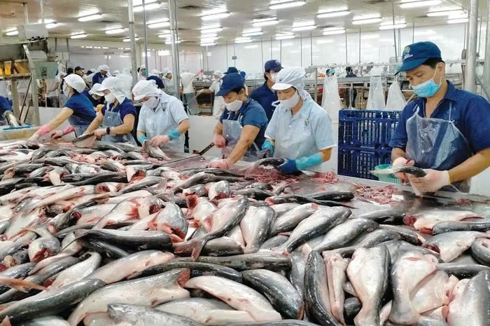 Thắt chặt quan hệ kinh tế - thương mại Việt Nam - Brazil- Ảnh 2. Thắt chặt quan hệ kinh tế - thương mại Việt Nam - Brazil- Ảnh 2.