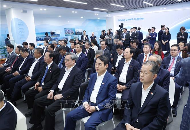 Tổng Bí thư Tô Lâm thăm cảng biển Busan (Hàn Quốc)- Ảnh 2.