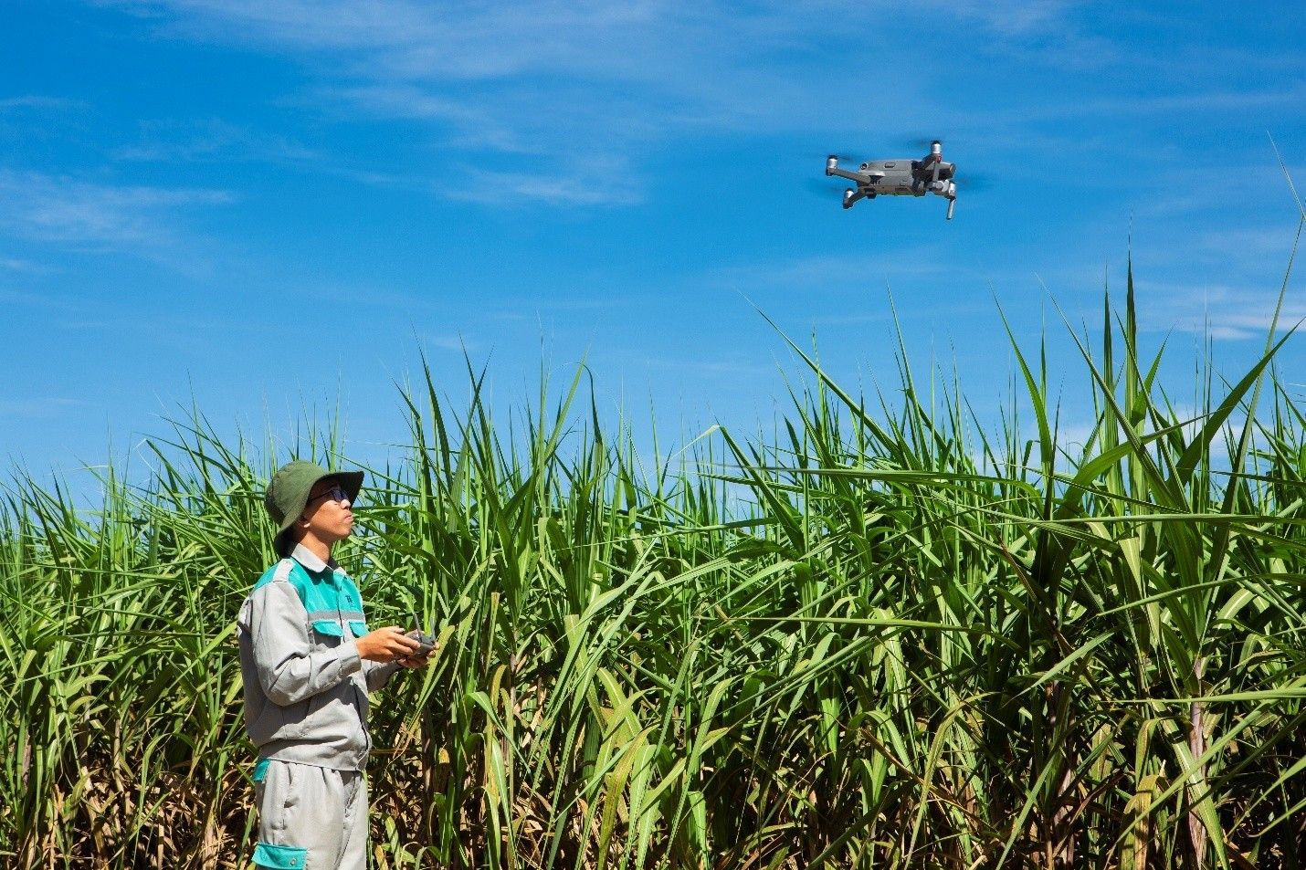 AgriS tiên phong thúc đẩy hợp tác nông nghiệp công nghệ cao với Australia- Ảnh 3.