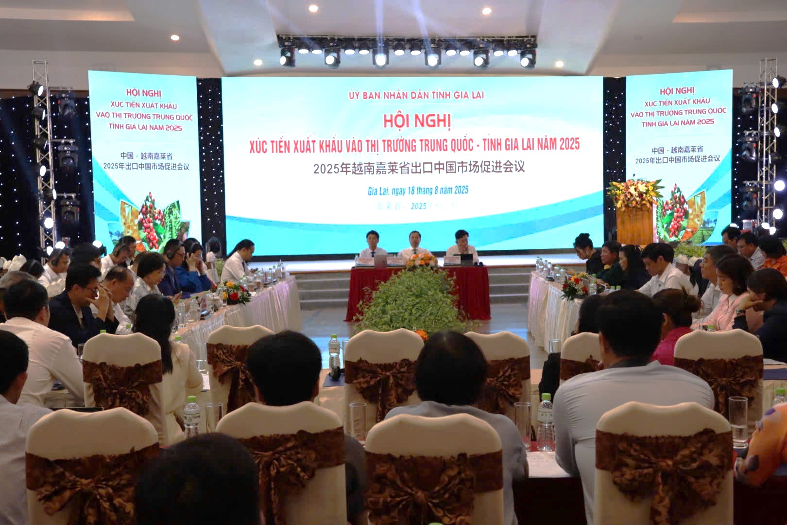 Gia Lai xúc tiến xuất khẩu nông sản vào thị trường Trung Quốc- Ảnh 2.