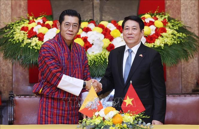 Chủ tịch nước Lương Cường hội đàm với Quốc vương Bhutan- Ảnh 1.