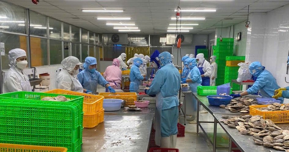 Cơ hội và thách thức cho nông sản Việt trước 'khoảng trống' tại thị trường EU- Ảnh 1. Cơ hội và thách thức cho nông sản Việt trước 'khoảng trống' tại thị trường EU- Ảnh 1.
