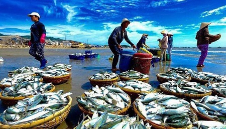 Thúc đẩy tiêu thụ thủy sản nội địa để cân bằng phát triển- Ảnh 1.