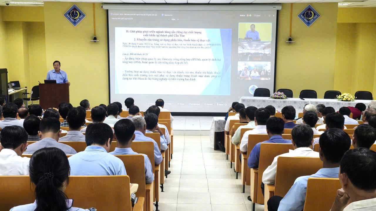 Cần Thơ bàn giải pháp nâng cao giá trị xuất khẩu sầu riêng- Ảnh 1.