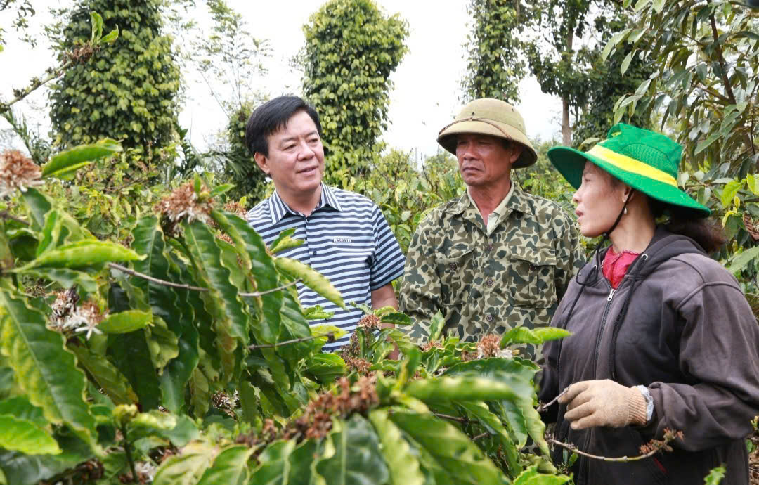 Bình Điền: Hành trình hơn nửa thế kỷ phụng sự nông dân và tầm nhìn tiên phong xanh hóa - số hóa- Ảnh 2.
