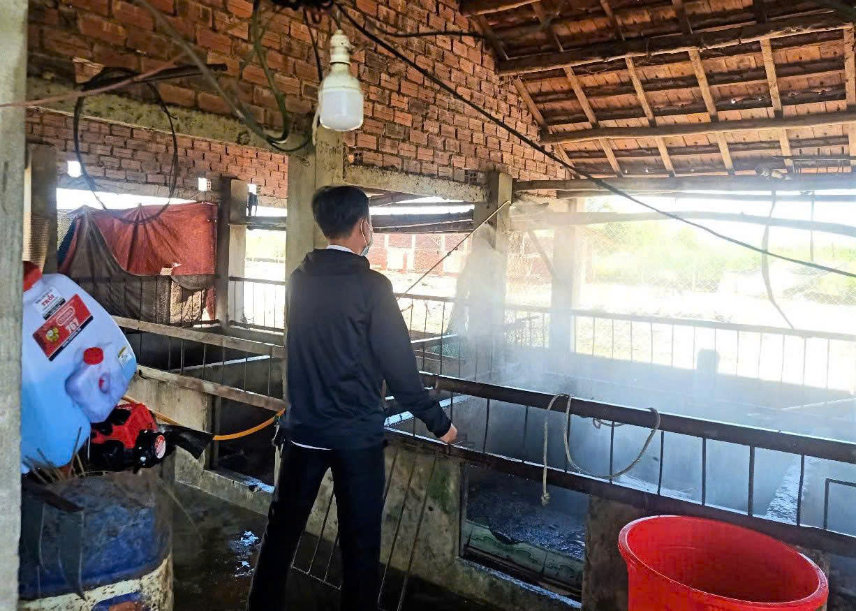 Gia Lai: Dịch tả lợn châu Phi dần được kiểm soát, sức mua thịt lợn tăng trở lại- Ảnh 1. Gia Lai: Dịch tả lợn châu Phi dần được kiểm soát, sức mua thịt lợn tăng trở lại- Ảnh 1.