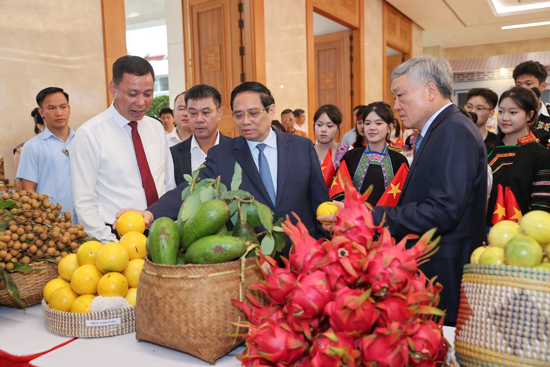 TRỰC TIẾP: Hội nghị tổng kết chương trình và phong trào thi đua xóa nhà tạm, nhà dột nát- Ảnh 8. TRỰC TIẾP: Hội nghị tổng kết chương trình và phong trào thi đua xóa nhà tạm, nhà dột nát- Ảnh 8.