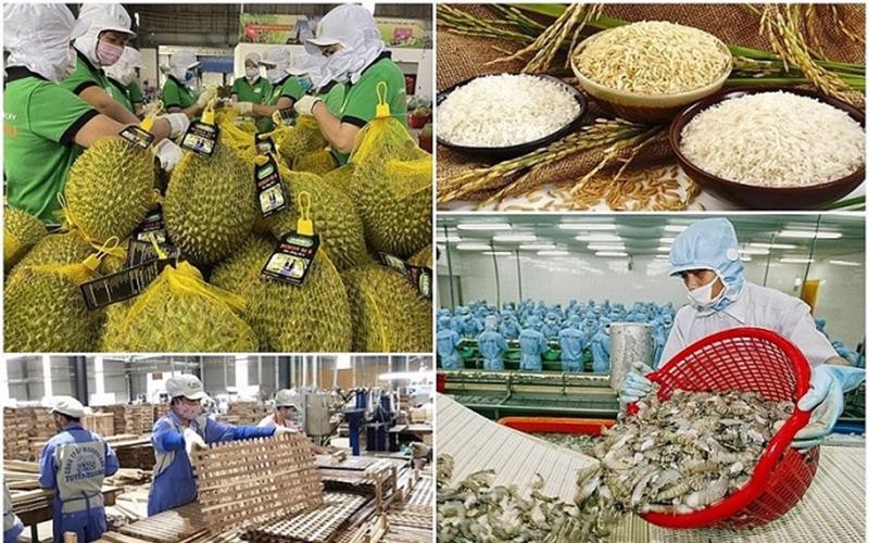 Chỉ đạo, điều hành của Chính phủ, Thủ tướng Chính phủ ngày 29/8/2025 (1)
