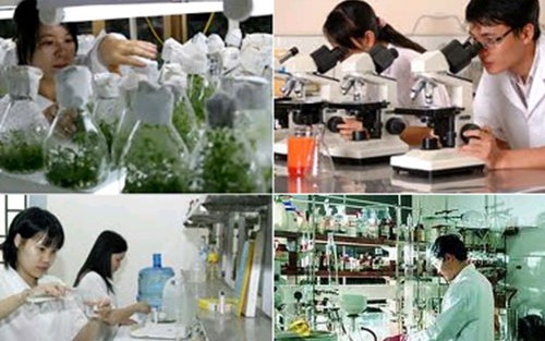 Tăng cường thực hiện các chính sách ưu đãi, hỗ trợ cho doanh nghiệp khoa học và công nghệ