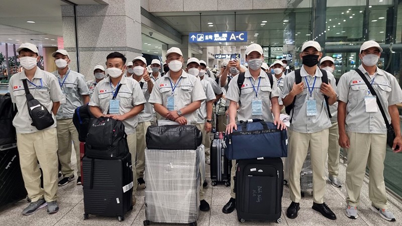 Xuất khẩu lao động giữ đà tăng trưởng- Ảnh 1. Xuất khẩu lao động giữ đà tăng trưởng- Ảnh 1.