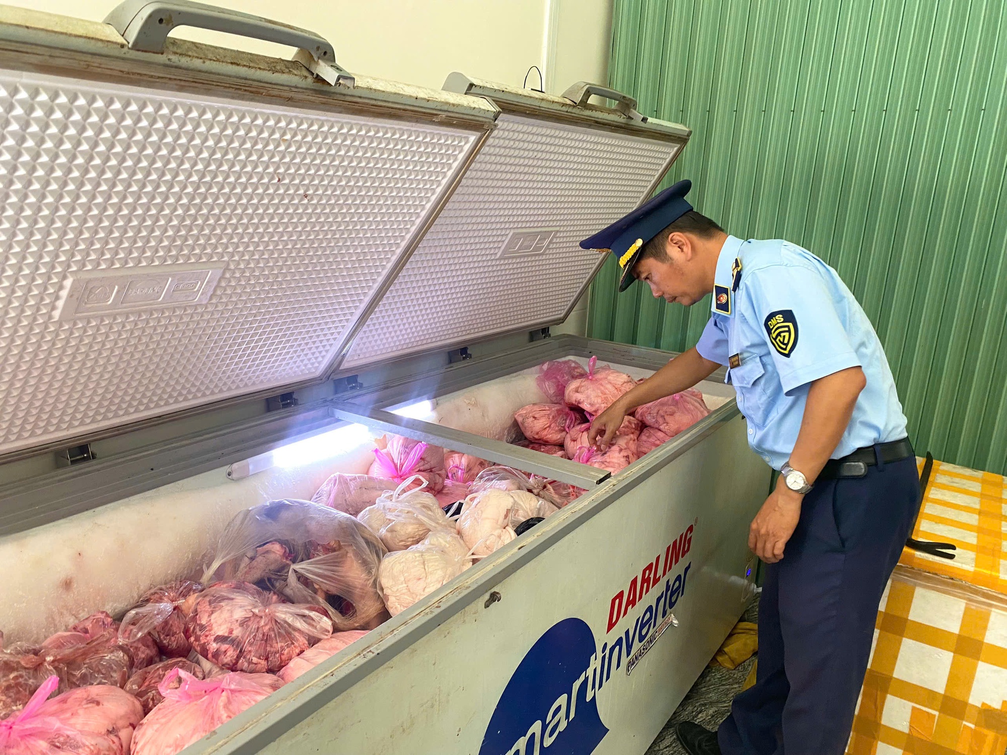 Gia Lai tăng cường giám sát, ngăn chặn dịch tả lợn châu Phi- Ảnh 1. Gia Lai tăng cường giám sát, ngăn chặn dịch tả lợn châu Phi- Ảnh 1.