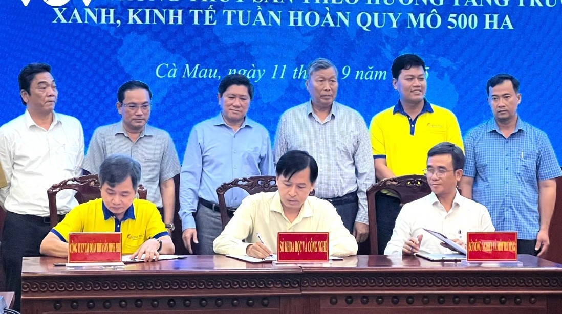 Cà Mau triển khai mô hình 1.500 ha tôm siêu thâm canh- Ảnh 1. Cà Mau triển khai mô hình 1.500 ha tôm siêu thâm canh- Ảnh 1.
