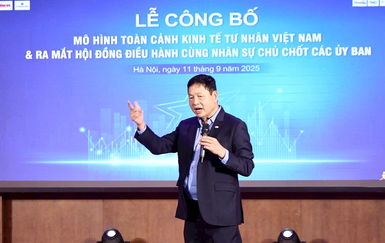 Mô hình Toàn cảnh Kinh tế tư nhân Việt Nam: Cầu nối công – tư cho phát triển- Ảnh 2.