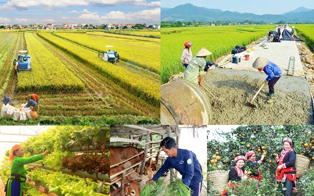 Đề xuất mới về cơ chế quản lý, tổ chức thực hiện các chương trình mục tiêu quốc gia