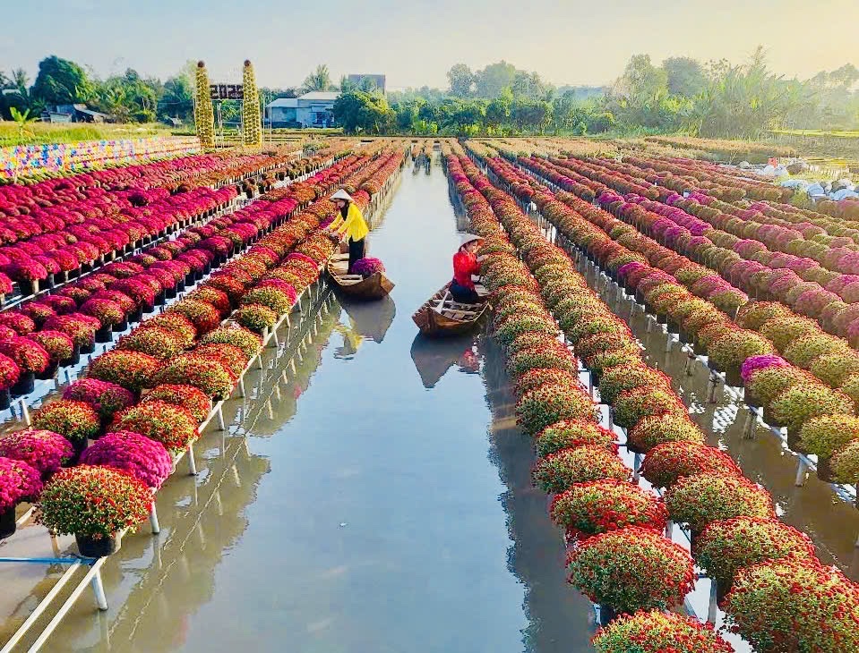 Festival Hoa-Kiểng Sa Đéc 2025: Bứt phá để khẳng định thương hiệu du lịch quốc tế- Ảnh 1.