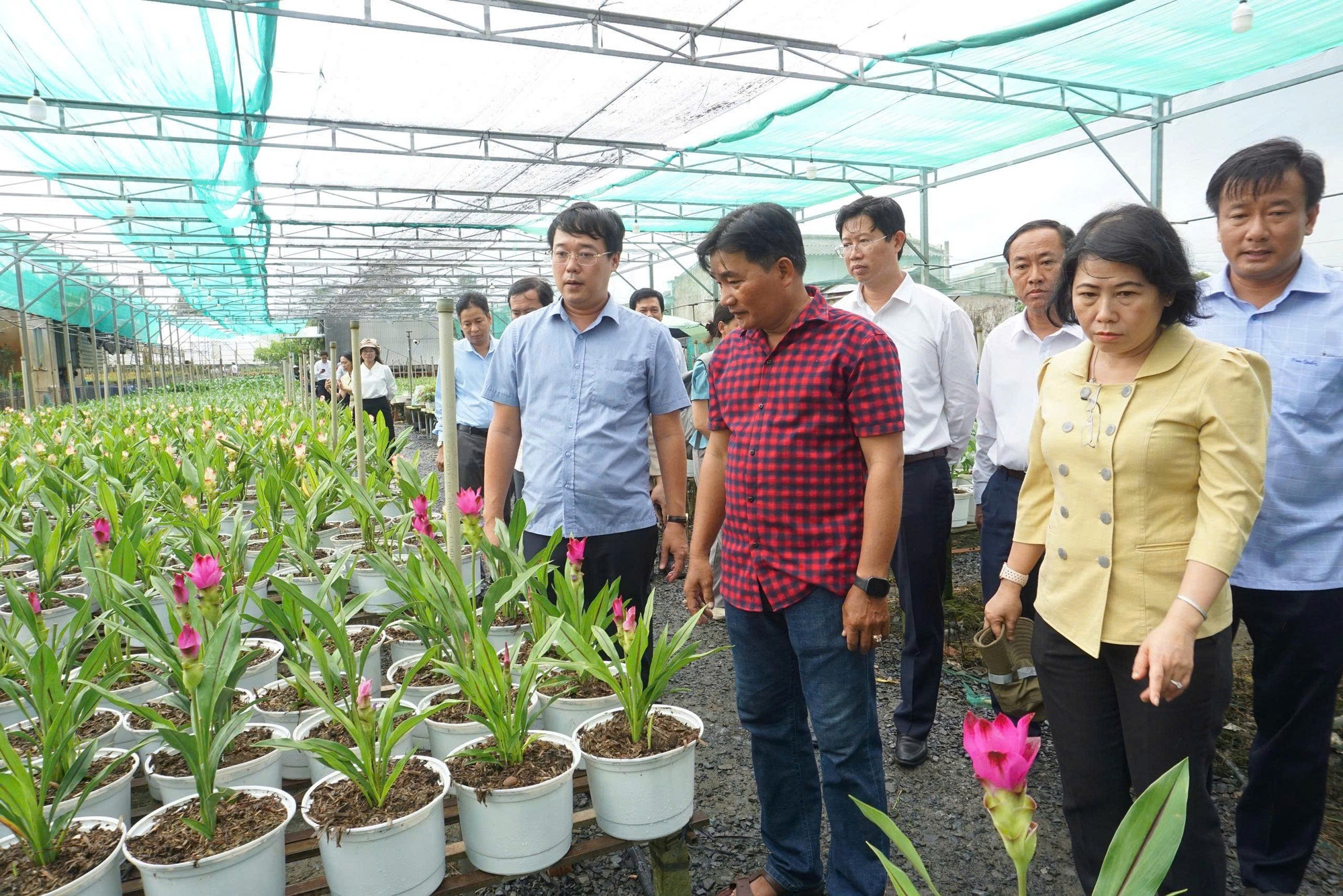 Festival Hoa-Kiểng Sa Đéc 2025: Bứt phá để khẳng định thương hiệu du lịch quốc tế- Ảnh 3. Festival Hoa-Kiểng Sa Đéc 2025: Bứt phá để khẳng định thương hiệu du lịch quốc tế- Ảnh 3.
