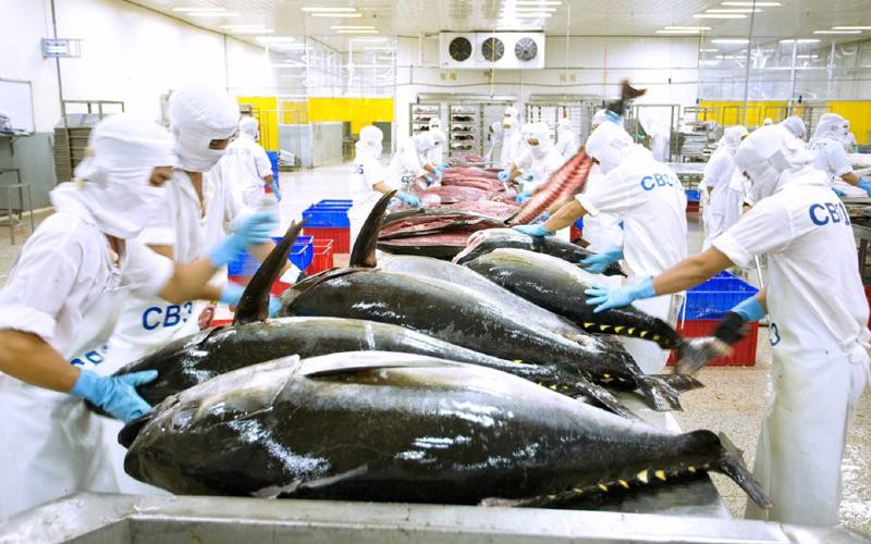 Gỡ khó xuất khẩu cá ngừ