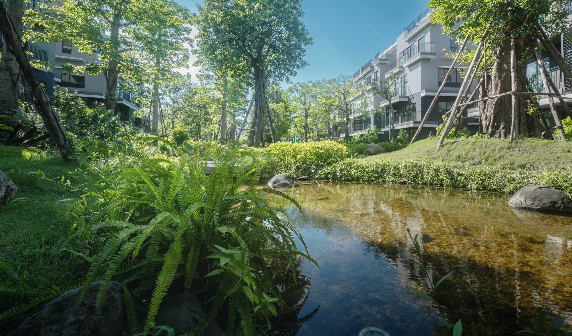 إنشاء مدرسة FPT بين المستويات في منطقة Eco Central Park الحضرية لمؤسس Ecopark - صورة 4. Khởi công trường liên cấp FPT tại đô thị Eco Central Park của nhà sáng lập Ecopark- Ảnh 4.