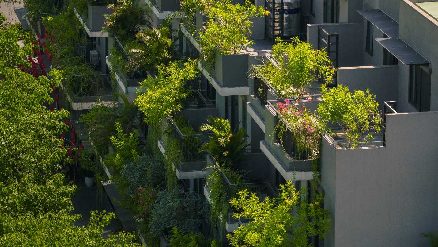 إنشاء مدرسة FPT بين المستويات في منطقة Eco Central Park الحضرية لمؤسس Ecopark - صورة 5. Khởi công trường liên cấp FPT tại đô thị Eco Central Park của nhà sáng lập Ecopark- Ảnh 5.