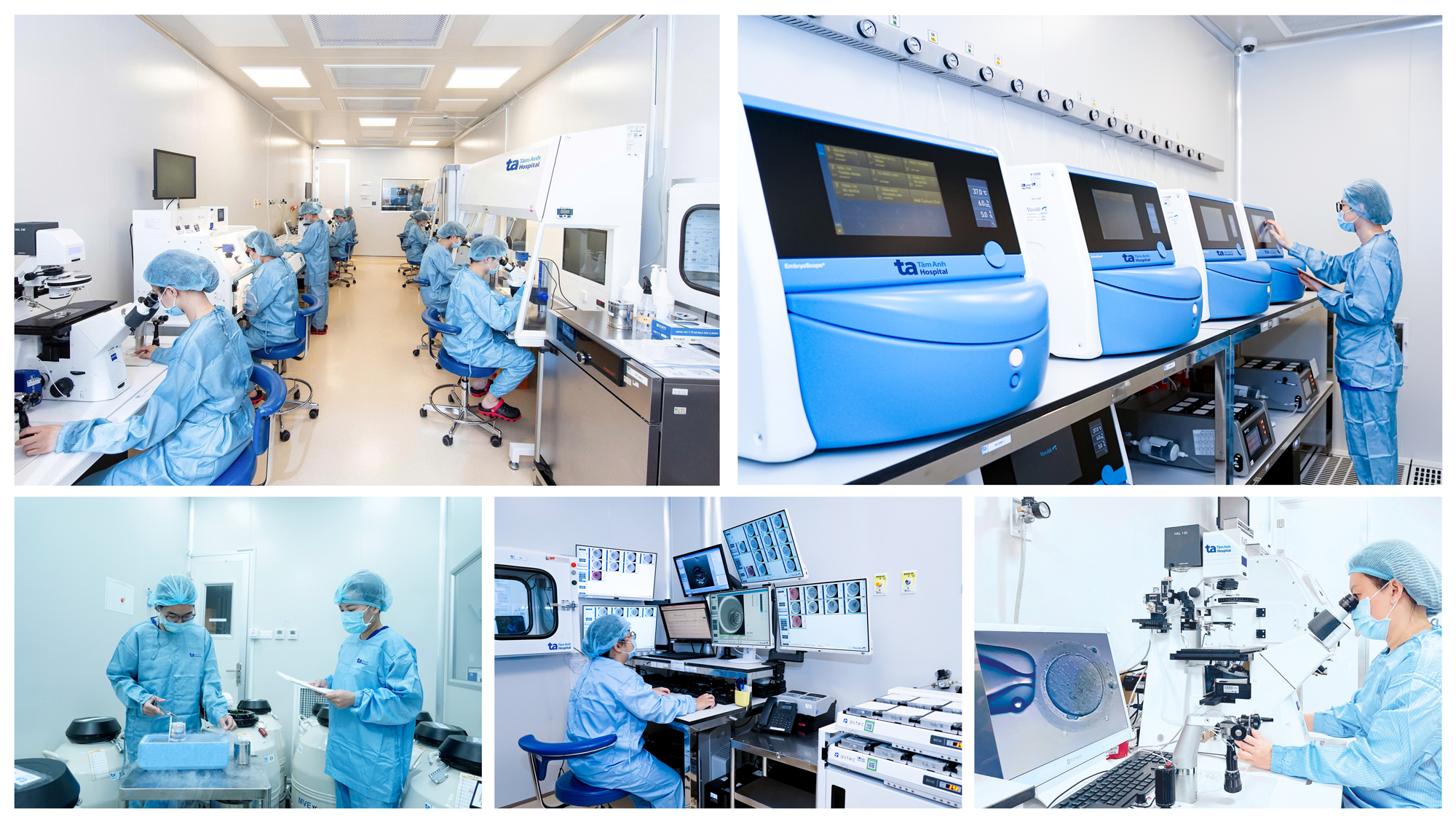 Lần đầu tiên Việt Nam được công nhận kỷ lục châu Á trong lĩnh vực IVF- Ảnh 3. Lần đầu tiên Việt Nam được công nhận kỷ lục châu Á trong lĩnh vực IVF- Ảnh 3.