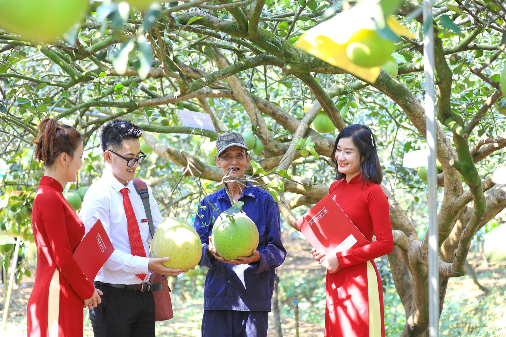 Agribank triển khai tín dụng xanh, góp phần thực hiện mục tiêu phát thải ròng bằng ‘0’- Ảnh 1.