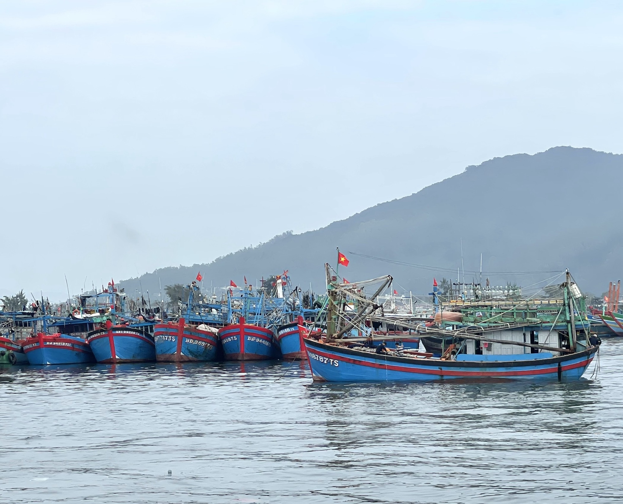Miền Trung khẩn trương hướng dẫn tàu thuyền tránh trú, ứng phó siêu bão Ragasa- Ảnh 1.