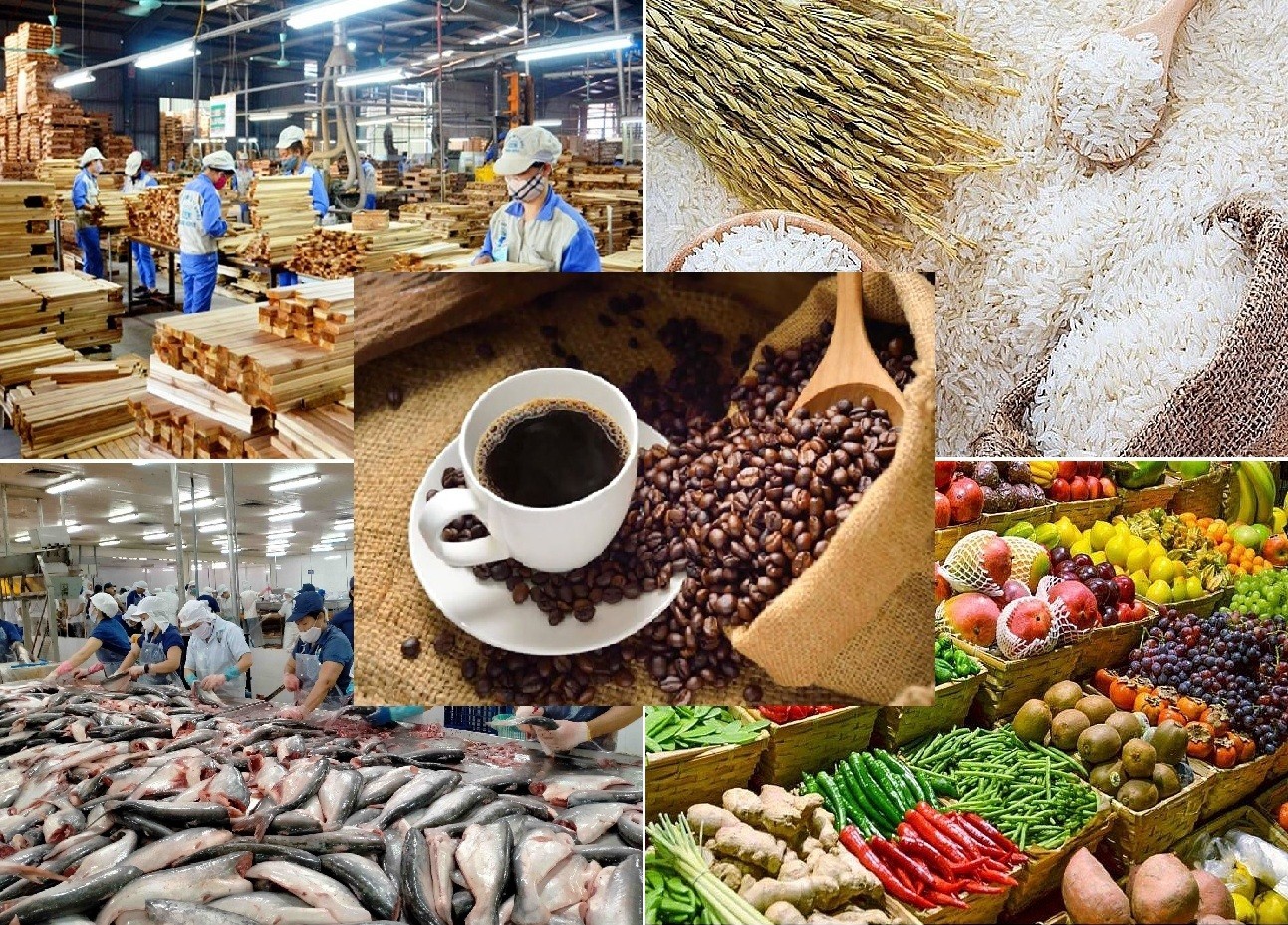 Hoàn thiện Hồ sơ Đề án đánh giá tình hình thực hiện Nghị quyết số 19-NQ/TW về nông nghiệp, nông dân, nông thôn- Ảnh 1.