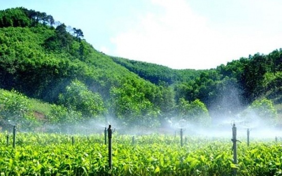 Quy định mới về phân bổ vốn cho các địa phương để phát triển kinh tế nông, lâm nghiệp bền vững
