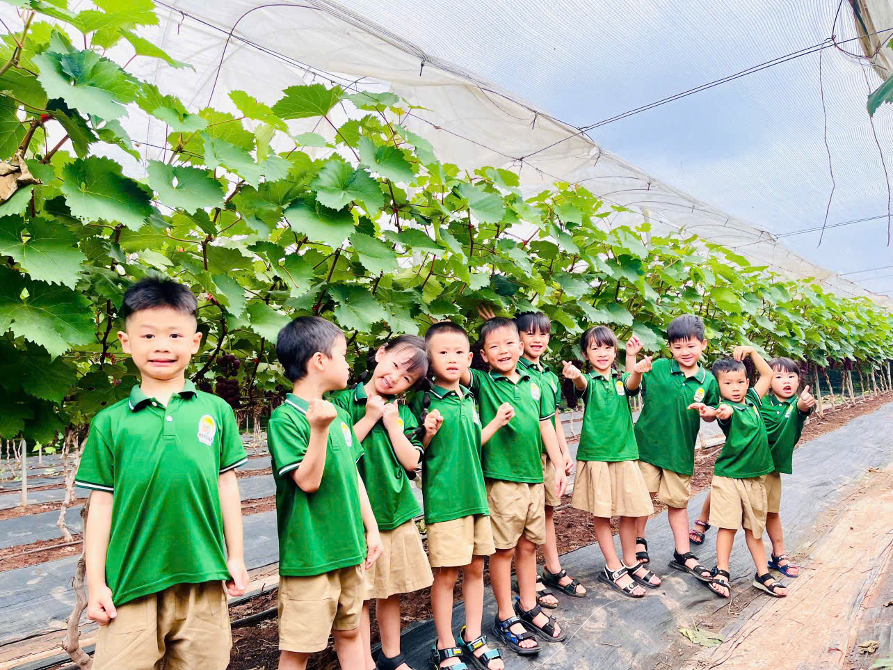 Phát triển sản phẩm OCOP từ vùng đất bãi- Ảnh 2. Phát triển sản phẩm OCOP từ vùng đất bãi- Ảnh 2.
