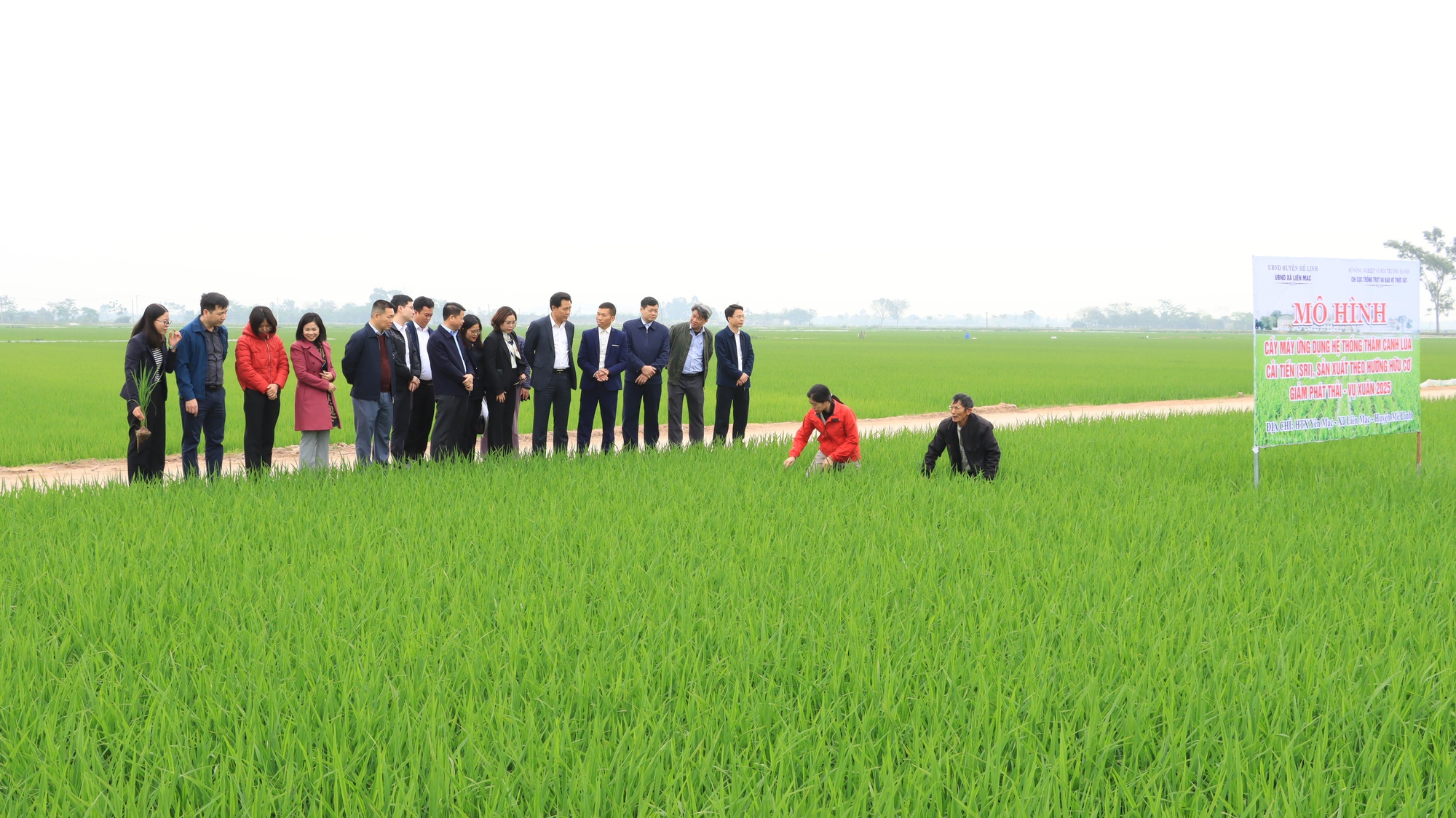Hà Nội: 15 năm hành trình bứt phá xây dựng nông thôn mới- Ảnh 1.